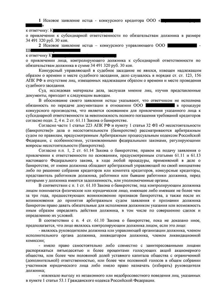 Директор успешно защищен от субсидиарной ответственности